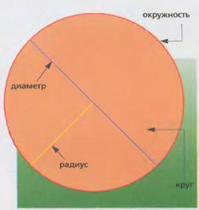 Окружность Окружность