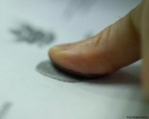 Как получают генетические «отпечатки пальцев»?