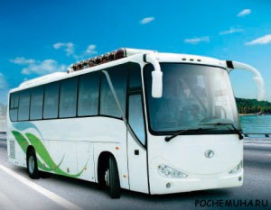 Есть ли будущее у электрических автобусов