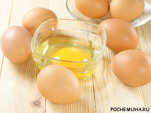 Маска для волос с белками яиц Маска для волос с белками яиц