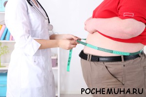 Актуальная проблема современности – лишний вес