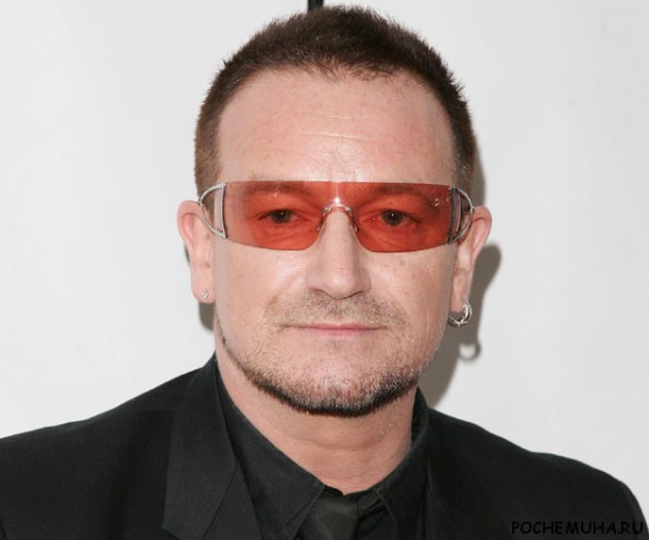 Боно – ПОЧЕМУХА.РУ ответы на вопросы.