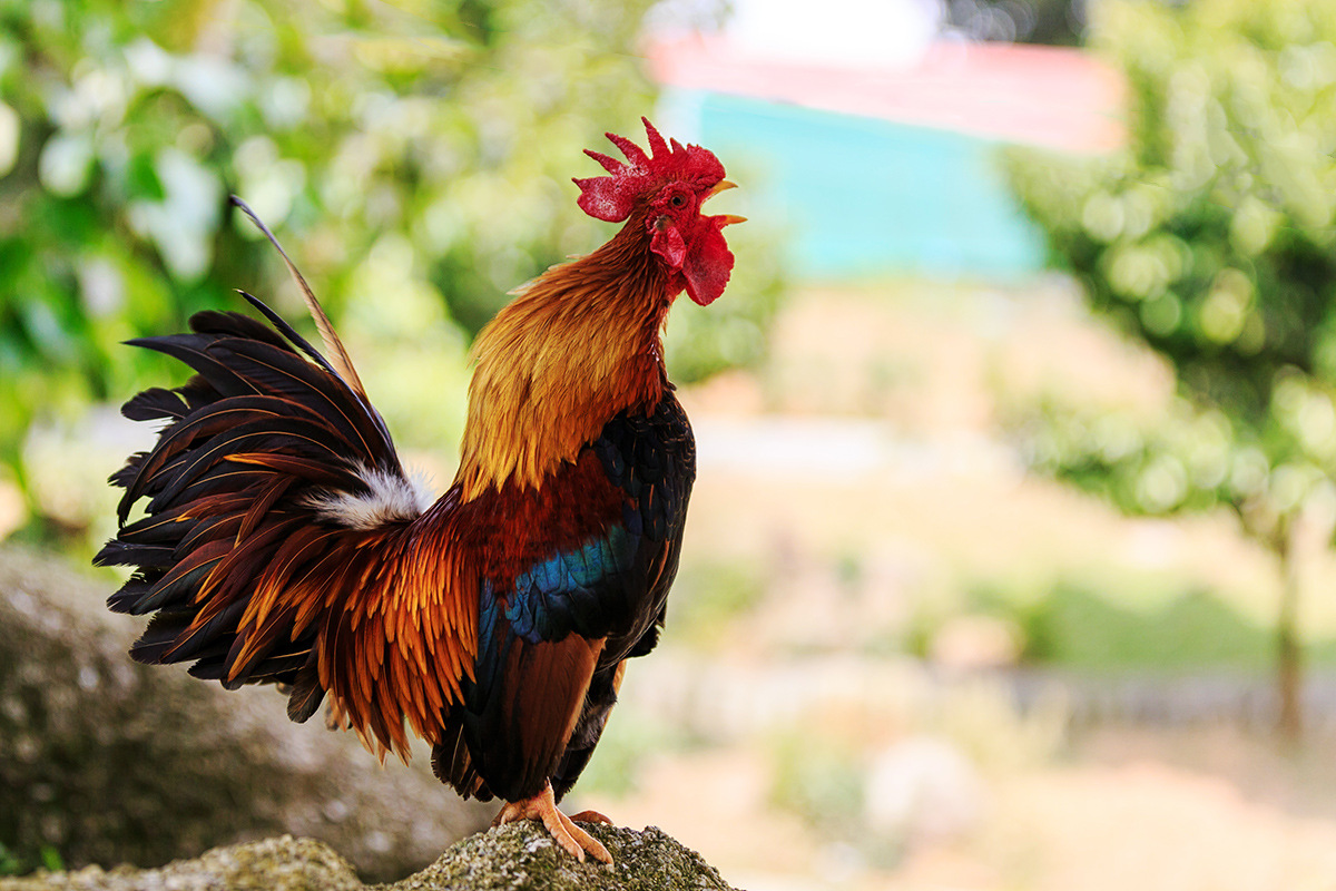 %D0%9F%D0%BE%D1%87%D0%B5%D0%BC%D1%83-%D0