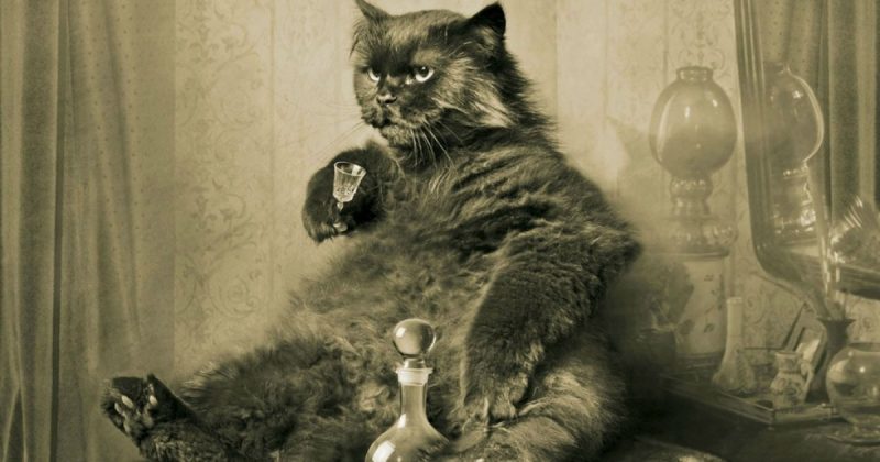 Почему кота в "Мастере и Маргарите" Булгаков назвал