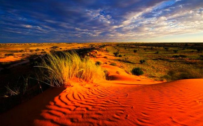 африка самый жаркий материк земли так как. Смотреть фото африка самый жаркий материк земли так как. Смотреть картинку африка самый жаркий материк земли так как. Картинка про африка самый жаркий материк земли так как. Фото африка самый жаркий материк земли так как