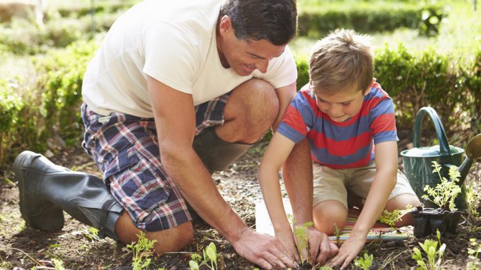 Как испортить летние каникулы: почему не стоит привлекать ребенка к огородным работам?