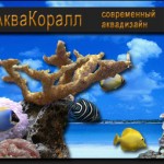 AquaKorall