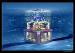 AquaKorall