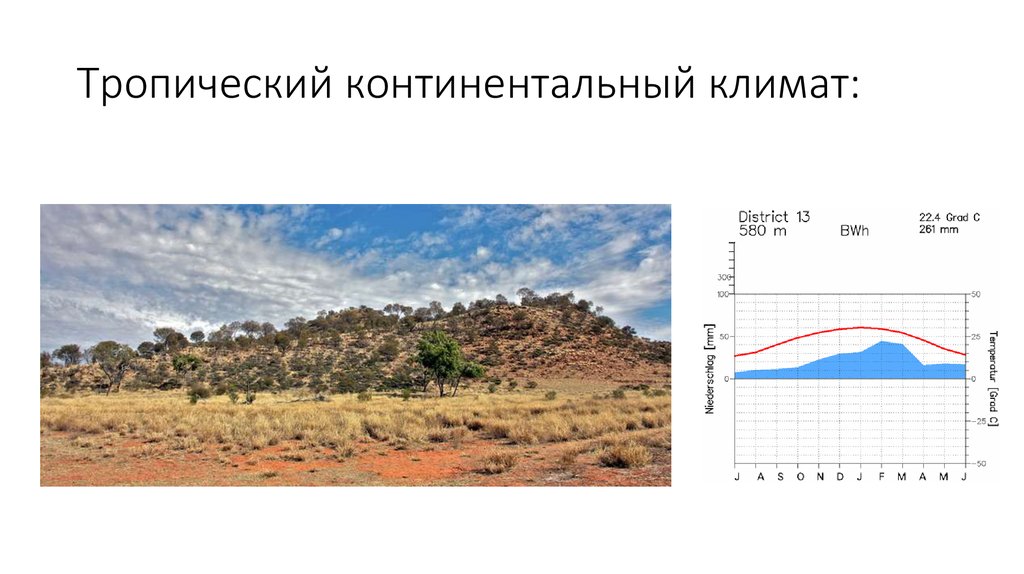 Материковый климат или климат тайги
