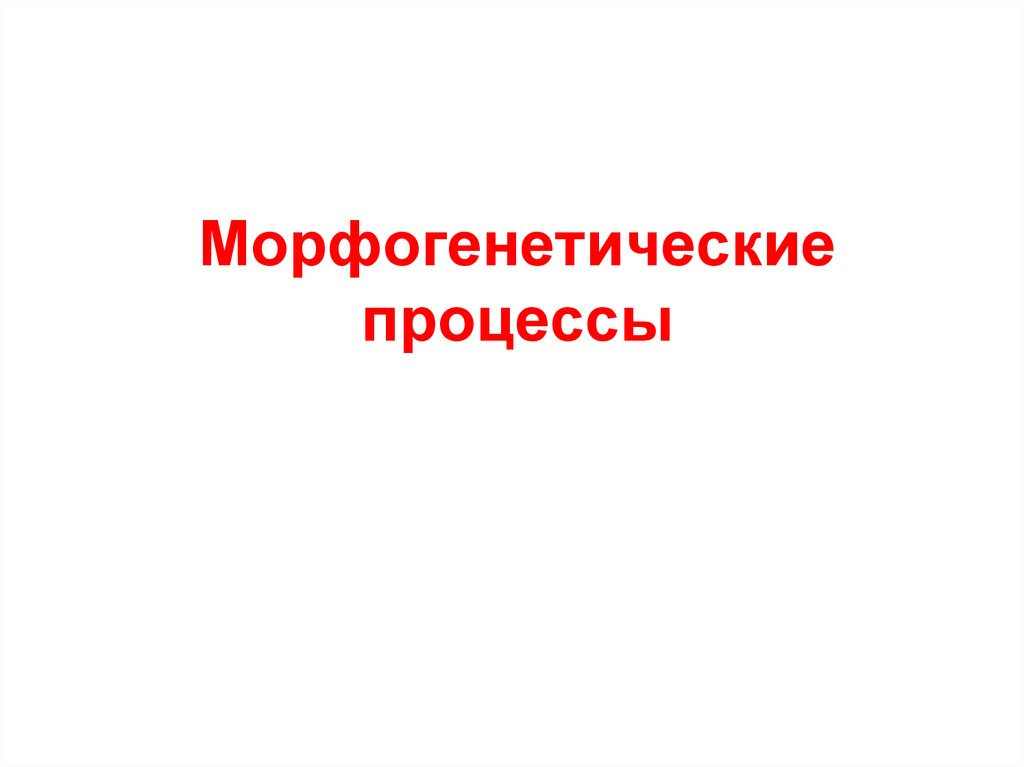 Морфогенетические процессы
