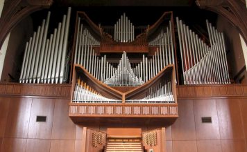 Что такое орган?