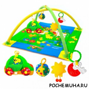 Развивающие игрушки