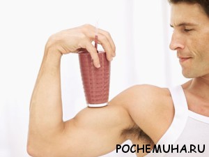 Спортивное питание