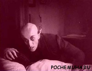 вампиры и зомби