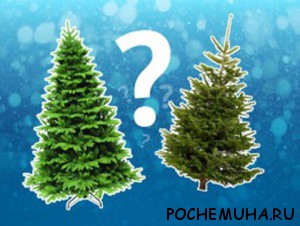 Какую ёлку выбрать Искусственную или натуральную