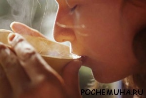 Почему полезно пить чай