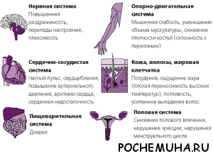 Что такое гипертиреоз щитовидной железы