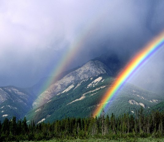 Почему возникает радуга?