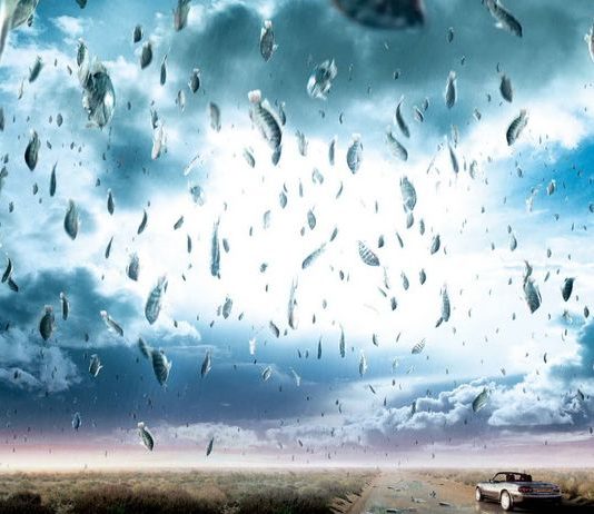 Почему выпадает рыбный дождь?