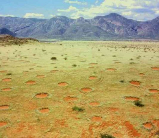 Почему в Намибии появляются круги Фей?