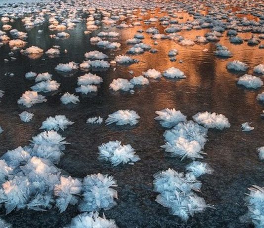 Почему возникают ледяные цветы?