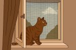 Почему нельзя открывать окна без сеток — и как спасти кошку от падения