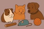 Игрушки или угроза: как выбрать безопасные развлечения для питомца