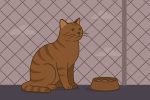 Кошка на балконе: почему сетка — не роскошь, а необходимость