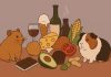 Опасность на кухне: какие продукты смертельно опасны для хомяков и свинок