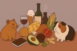 Опасность на кухне: какие продукты смертельно опасны для хомяков и свинок