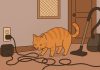 Провода, пылесосы и двери: как обезопасить дом для любопытного кота