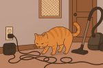 Провода, пылесосы и двери: как обезопасить дом для любопытного кота