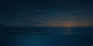 Почему киты общаются на «сверхдальних частотах»