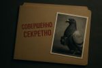 Почему птицы могут быть «живыми камерами» для наблюдения