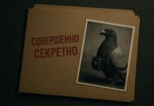 Почему птицы могут быть «живыми камерами» для наблюдения