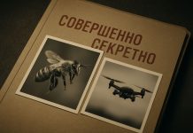Почему пчёлы ориентируются лучше, чем современные дроны