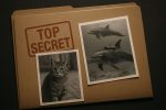Почему «проекты ЦРУ» с животными до сих пор вызывают вопросы