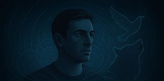 Почему у человека остаётся «шестое чувство» — и чем оно похоже на инстинкты животных