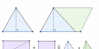 Почему площадь треугольника зависит от основания и высоты?