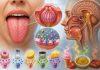 Почему язык чувствует вкусы? Почему язык чувствует вкусы?